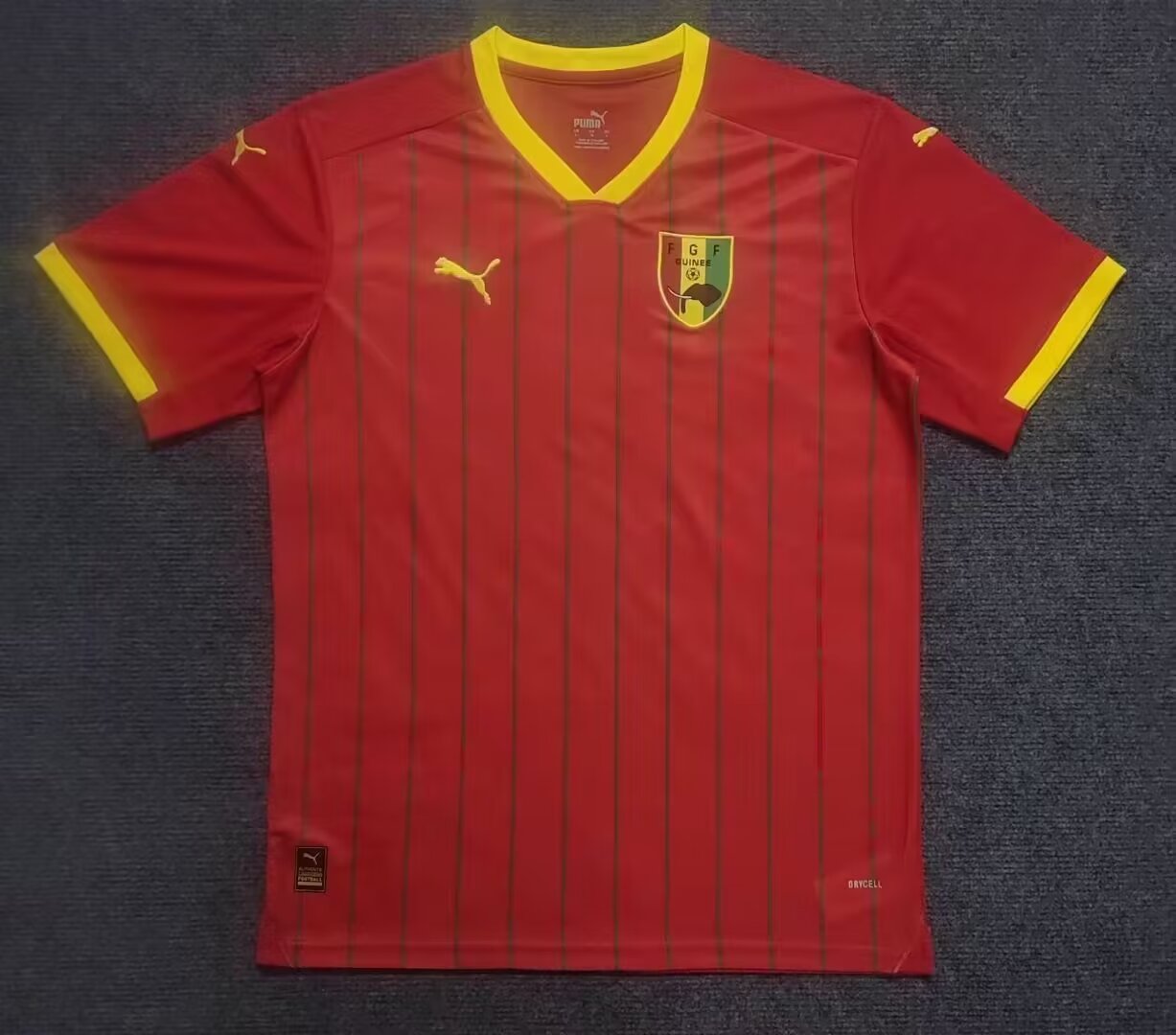 Fans version 24/25 Guinea Home Fans version 24/25 Guinea Home - Image 1