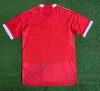 Fans Version Peru away 2022 - Image 2