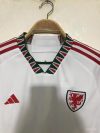 Fans Version 22/23 Wales Away - Image 2