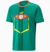 Fans Version 22/23 Senegal Away Jersey