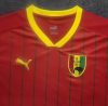 Fans version 24/25 Guinea Home - Image 3