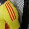 Player Version 24/25 Colombia home - Image 3
