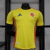 Player Version 24/25 Colombia home
