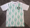 Fans Version 25/26 Palmeiras training suit