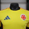 Player Version 24/25 Colombia home - Image 11