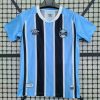 Fans Version 25-26 Gremio