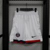Player Version 24/25 PSG away shorts