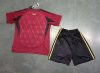 Adults kits 24/25 Belgium Home - Image 3