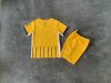 24/25Brighton &amp;amp;amp;amp; Hove Albion AWAY kid set - Image 2