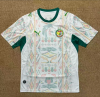Fans Version 26 Senegal home Double Star Edition