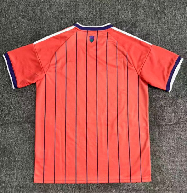 Fans Version 26/27 Scotland away - Image 2