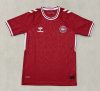 Fans version 24/25 Denmark Home