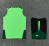 25/26 vest Mexico Training uniform vest - Image 2