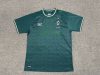 Fans Version 24/25 Werder Bremen special