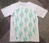 Fans Version 25/26 Palmeiras training suit - Image 2
