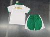 24/25 Adult kit Palmeiras away Soccer Jerseys Football Shirt - Image 3