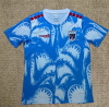 Fans Version 26/27 Cape Verde training suit