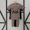 Fans Version 23/24 aldult Tottenham third away Football Shirt