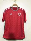 Fans Version 22/23 Wales Home