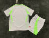 Adult Kits 24/25 Algeria home - Image 2