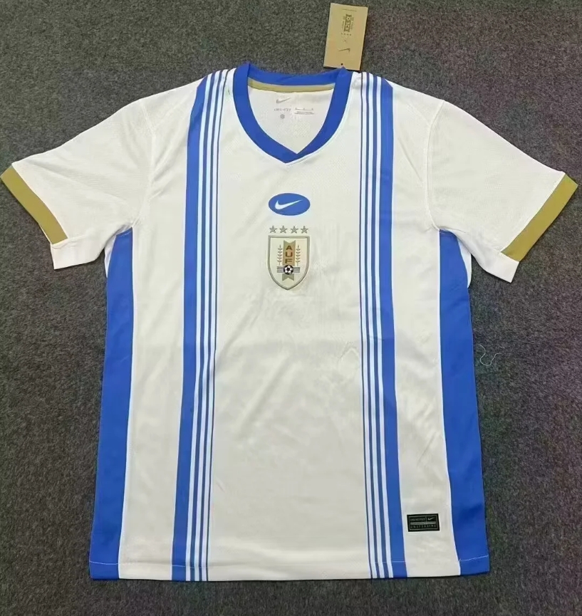 Fans Version 24/25 Uruguay training wear Fans Version 24/25 Uruguay training wear - Image 1