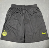 Player Version 25/26 Dortmund Special