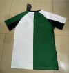 Fans Version 24/25 Feyenoord Third Away - Image 2